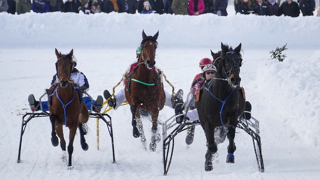 活塞20分大胜绿军8连胜 塔图姆27分坎宁安21+11.