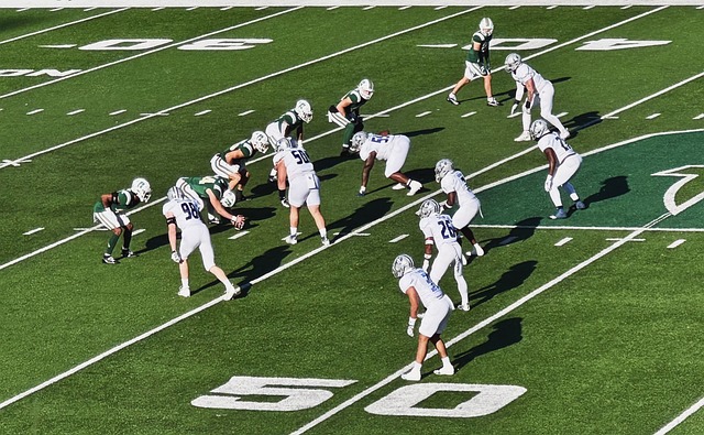 充分发挥了 充分发挥了