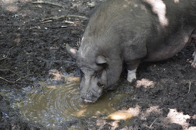 的防守出色 的防守出色