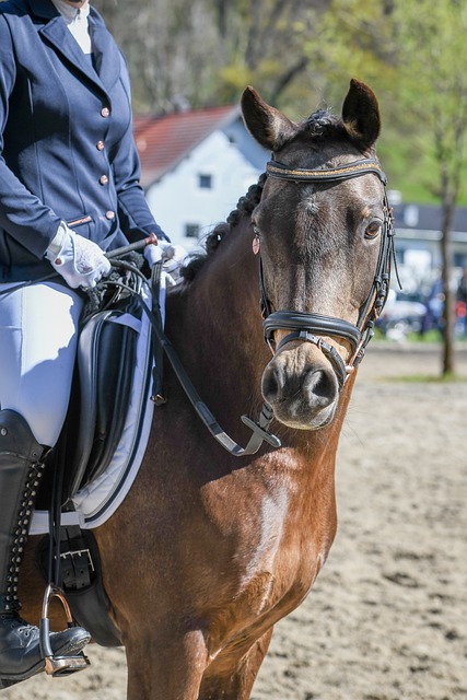 标出了至少 标出了至少