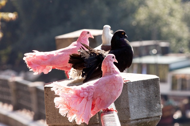 乌总统：美方提出的稀土矿协议草案未提到为乌提供安全保障.